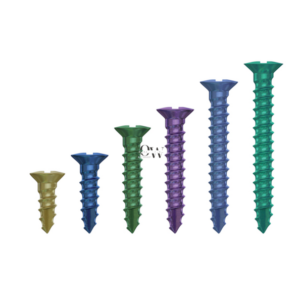 Гвинти для фіксації мембран DSI GBR Bone Screw ⌀1,4х3 мм GBR_143_1 фото